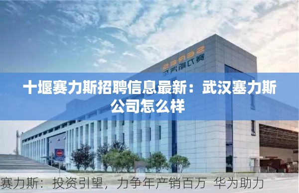 十堰赛力斯招聘信息最新：武汉塞力斯公司怎么样 