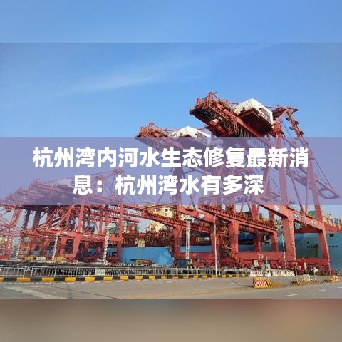 杭州湾内河水生态修复最新消息：杭州湾水有多深 