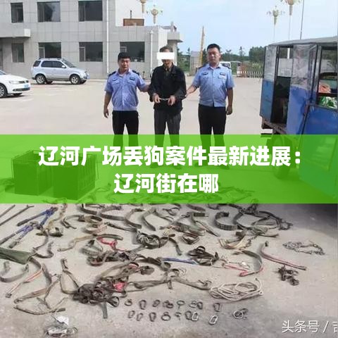 辽河广场丢狗案件最新进展：辽河街在哪 