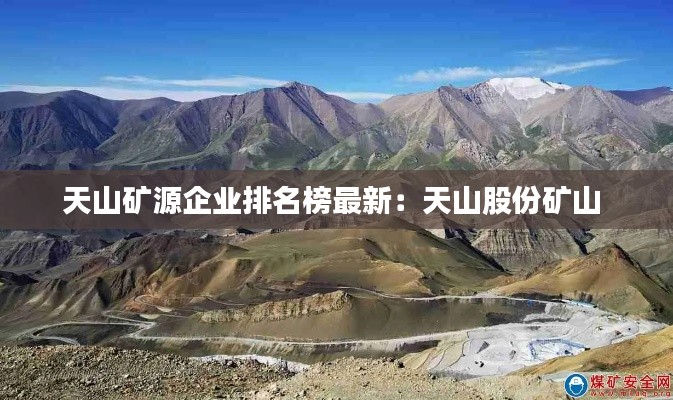天山矿源企业排名榜最新：天山股份矿山 