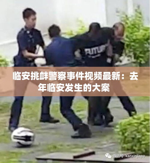临安挑衅警察事件视频最新：去年临安发生的大案 