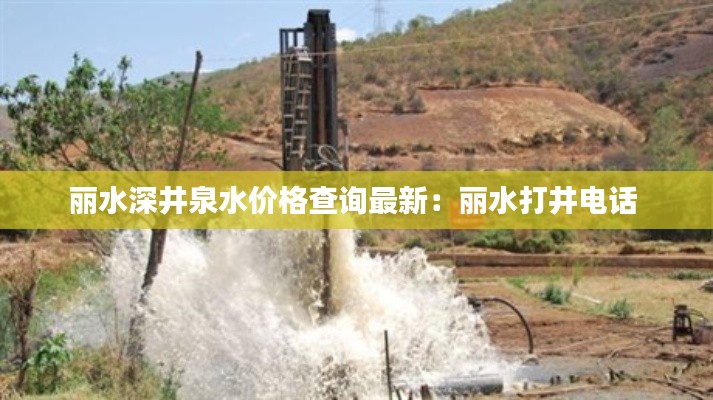 丽水深井泉水价格查询最新：丽水打井电话 