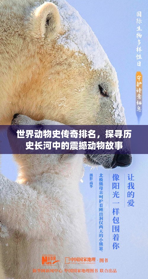 世界动物史传奇排名，探寻历史长河中的震撼动物故事