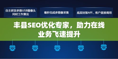 丰县SEO优化专家，助力在线业务飞速提升