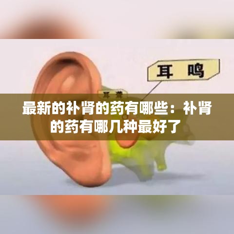 最新的补肾的药有哪些：补肾的药有哪几种最好了 