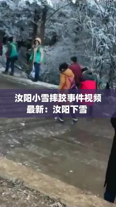 汝阳小雪摔跤事件视频最新：汝阳下雪 