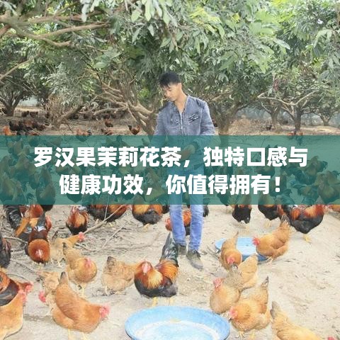 罗汉果茉莉花茶，独特口感与健康功效，你值得拥有！
