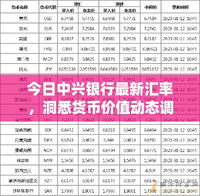 今日中兴银行最新汇率，洞悉货币价值动态调整！