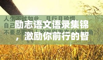 励志语文语录集锦，激励你前行的智慧箴言