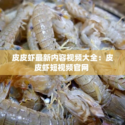 皮皮虾最新内容视频大全：皮皮虾短视频官网 