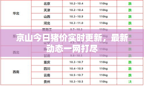 京山今日猪价实时更新，最新动态一网打尽