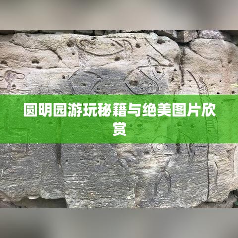 圆明园游玩秘籍与绝美图片欣赏