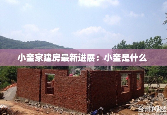 小奎家建房最新进展：小奎是什么 