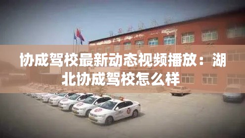 协成驾校最新动态视频播放：湖北协成驾校怎么样 
