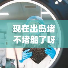 现在出岛堵不堵船了呀最新消息：现在能出海吗 