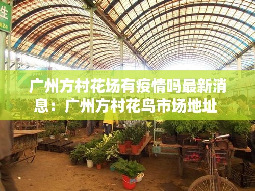 广州方村花场有疫情吗最新消息：广州方村花鸟市场地址 