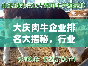 大庆肉牛企业排名大揭秘，行业影响力不容小觑