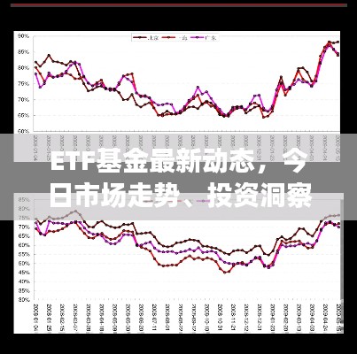 ETF基金最新动态，今日市场走势、投资洞察与策略分析