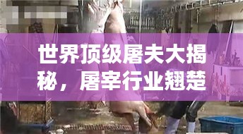 世界顶级屠夫大揭秘，屠宰行业翘楚榜单探寻