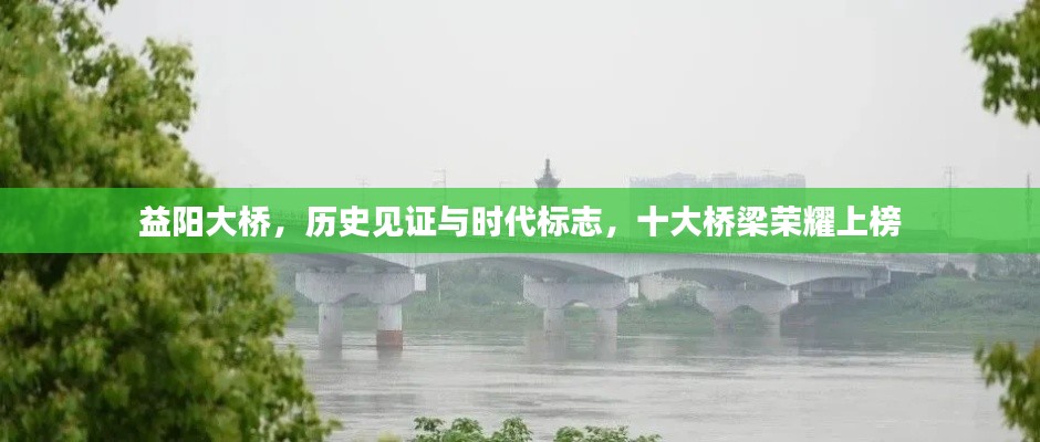 虫蚀鸟步 第2页