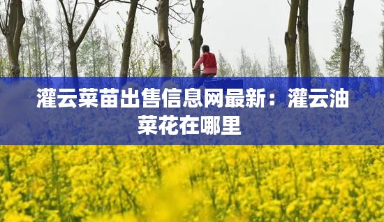 灌云菜苗出售信息网最新：灌云油菜花在哪里 
