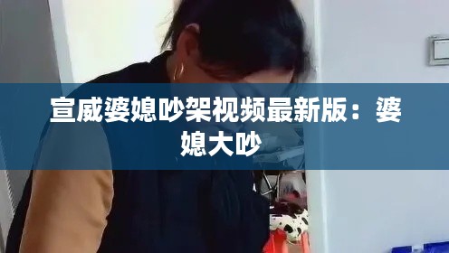 宣威婆媳吵架视频最新版：婆媳大吵 