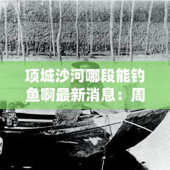 项城沙河哪段能钓鱼啊最新消息：周口项城沙河 