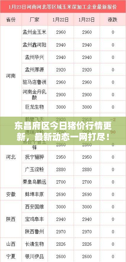 东昌府区今日猪价行情更新，最新动态一网打尽！