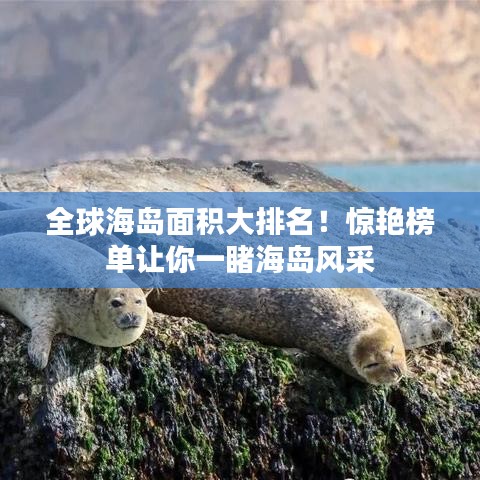全球海岛面积大排名！惊艳榜单让你一睹海岛风采