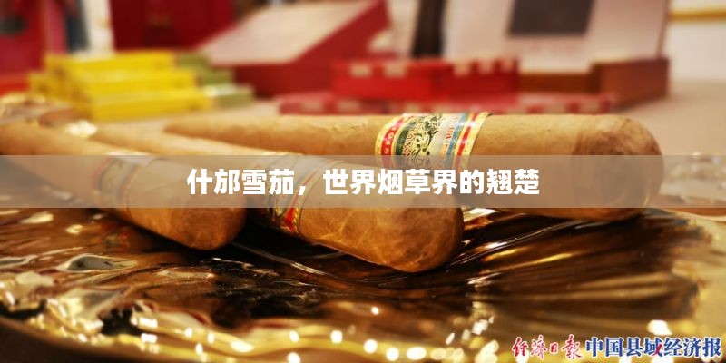 什邡雪茄，世界烟草界的翘楚