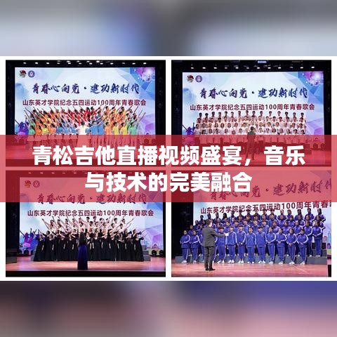 青松吉他直播视频盛宴，音乐与技术的完美融合