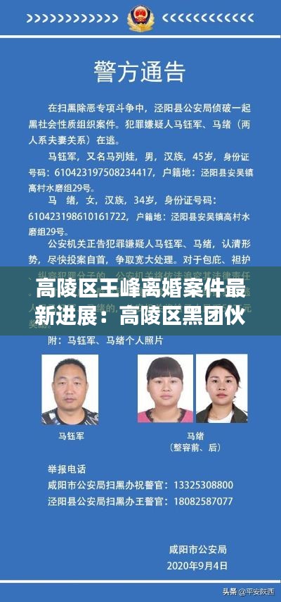 高陵区王峰离婚案件最新进展：高陵区黑团伙名单 