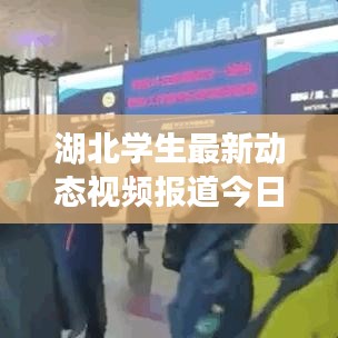 湖北学生最新动态视频报道今日揭晓