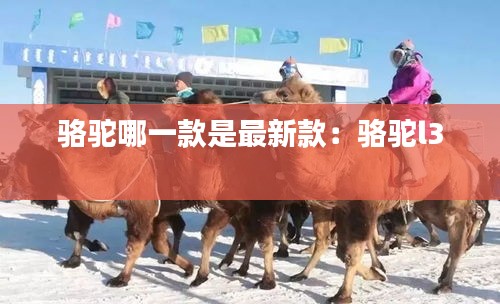 骆驼哪一款是最新款：骆驼l3 