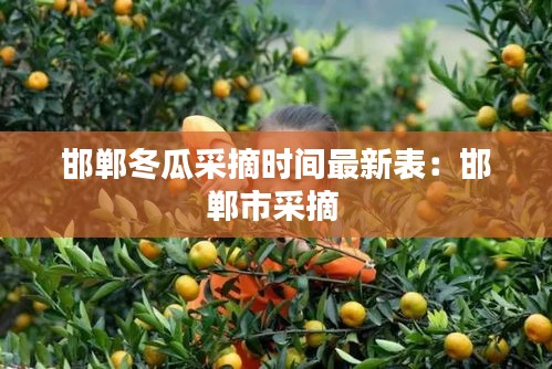 邯郸冬瓜采摘时间最新表：邯郸市采摘 