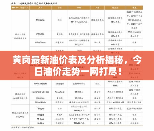 黄岗最新油价表及分析揭秘，今日油价走势一网打尽！