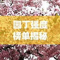 园丁强度榜单揭秘，前十名优秀园丁盘点