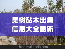 果树砧木出售信息大全最新：果树苗木批发报价 