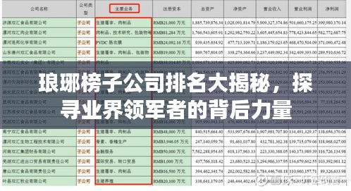 琅琊榜子公司排名大揭秘，探寻业界领军者的背后力量