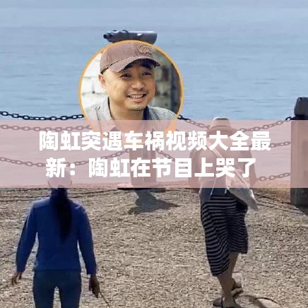 陶虹突遇车祸视频大全最新：陶虹在节目上哭了 