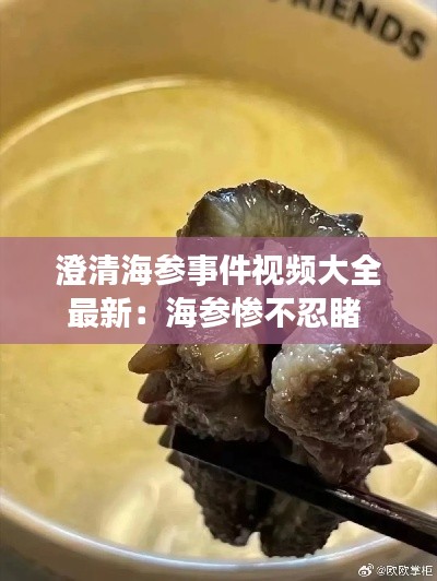 澄清海参事件视频大全最新：海参惨不忍睹 