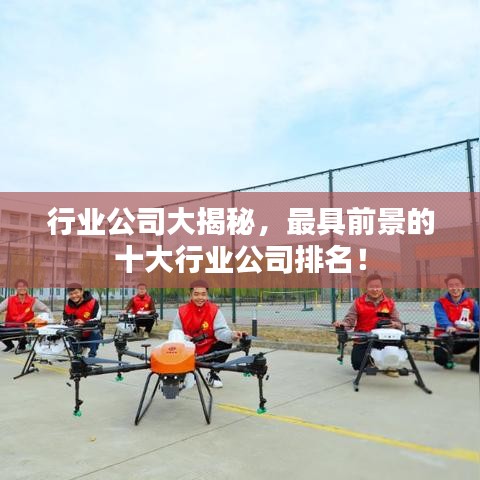 行业公司大揭秘，最具前景的十大行业公司排名！