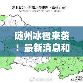 荡然无存 第2页