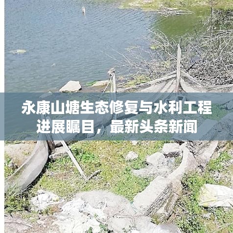 永康山塘生态修复与水利工程进展瞩目，最新头条新闻