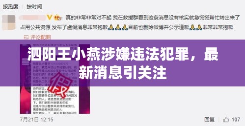 泗阳王小燕涉嫌违法犯罪，最新消息引关注