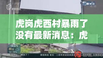 虎岗虎西村暴雨了没有最新消息：虎岗镇虎东村 