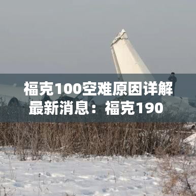 饭来张口 第2页