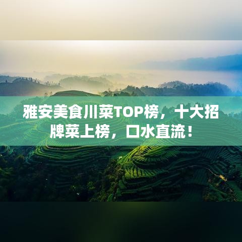 鸟栖虫居 第2页
