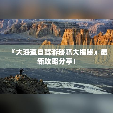 『大海道自驾游秘籍大揭秘』最新攻略分享！