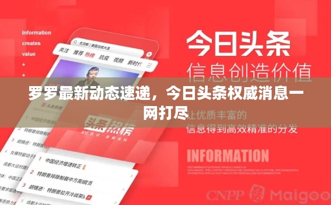 罗罗最新动态速递，今日头条权威消息一网打尽